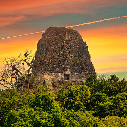 The temple V of TIkal as a part of a Archaeological expedition.