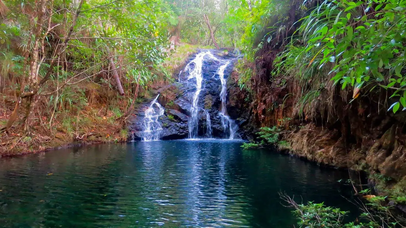 Belize Junlge Adventure