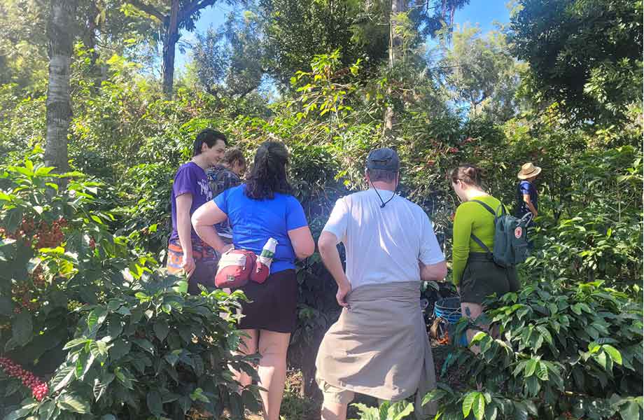 Coffee Tour