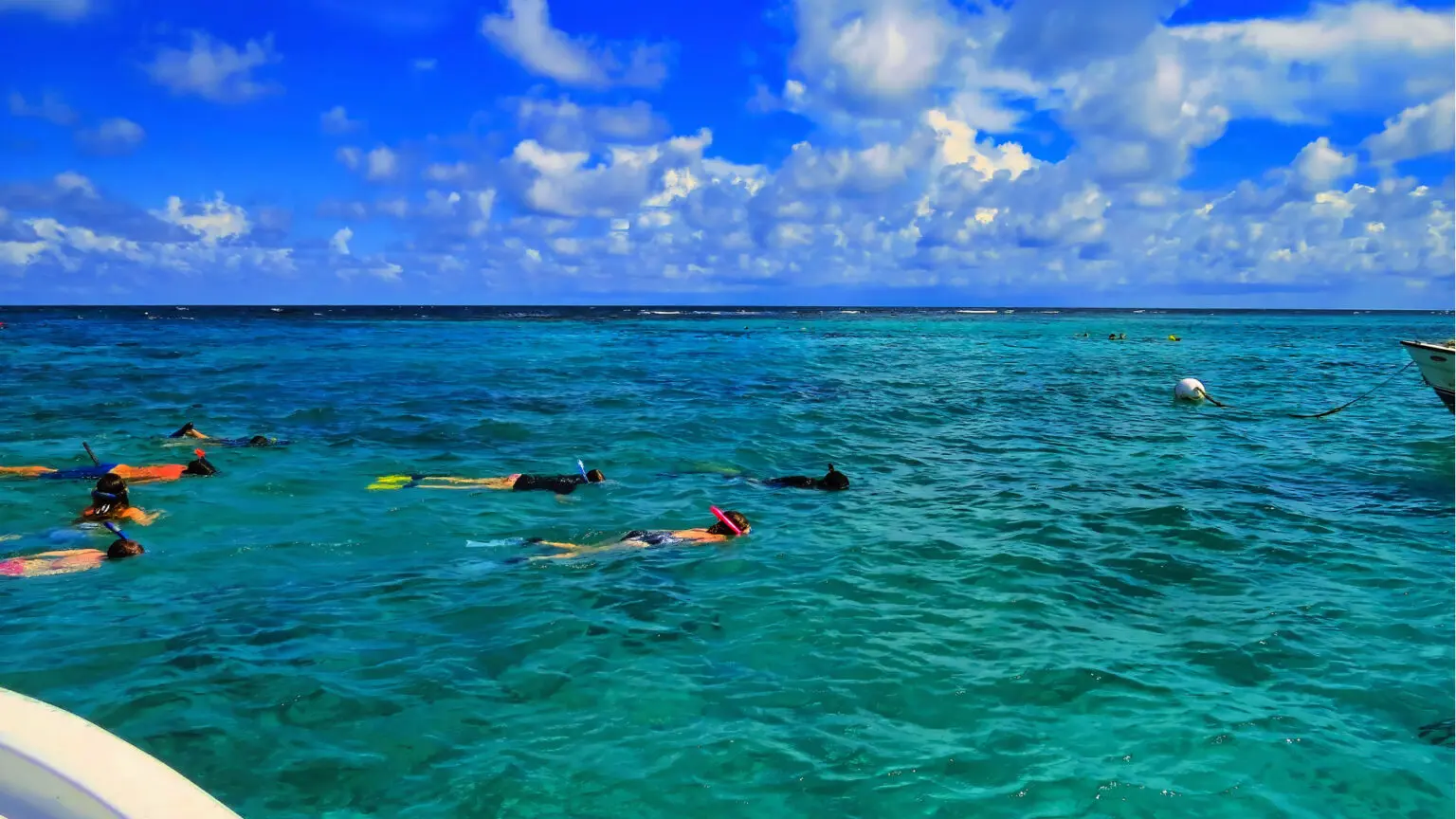 Snorkeling in the reef