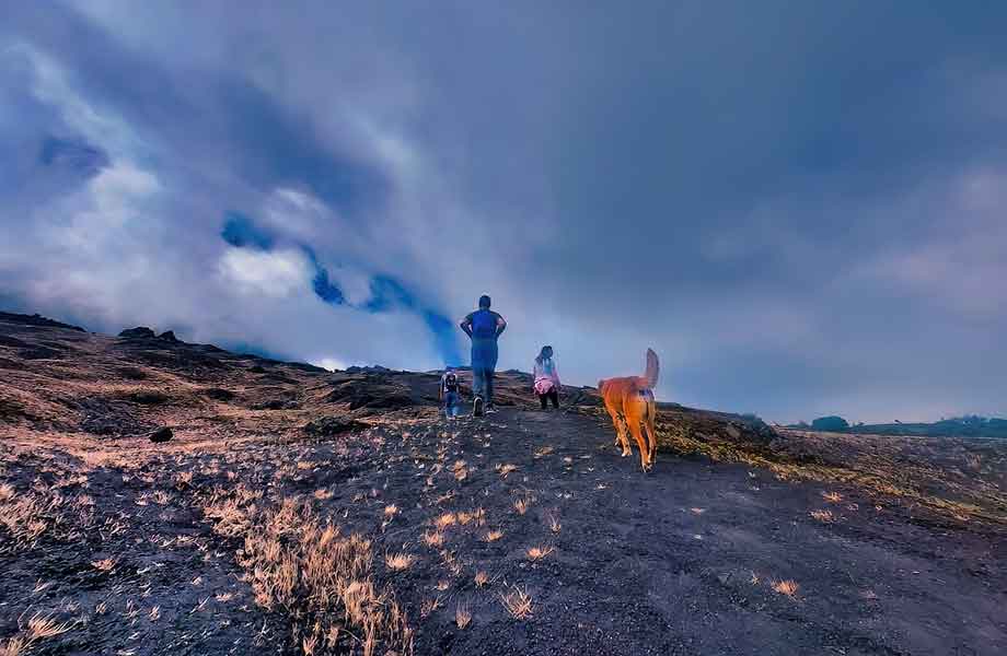 Pacaya Volcano