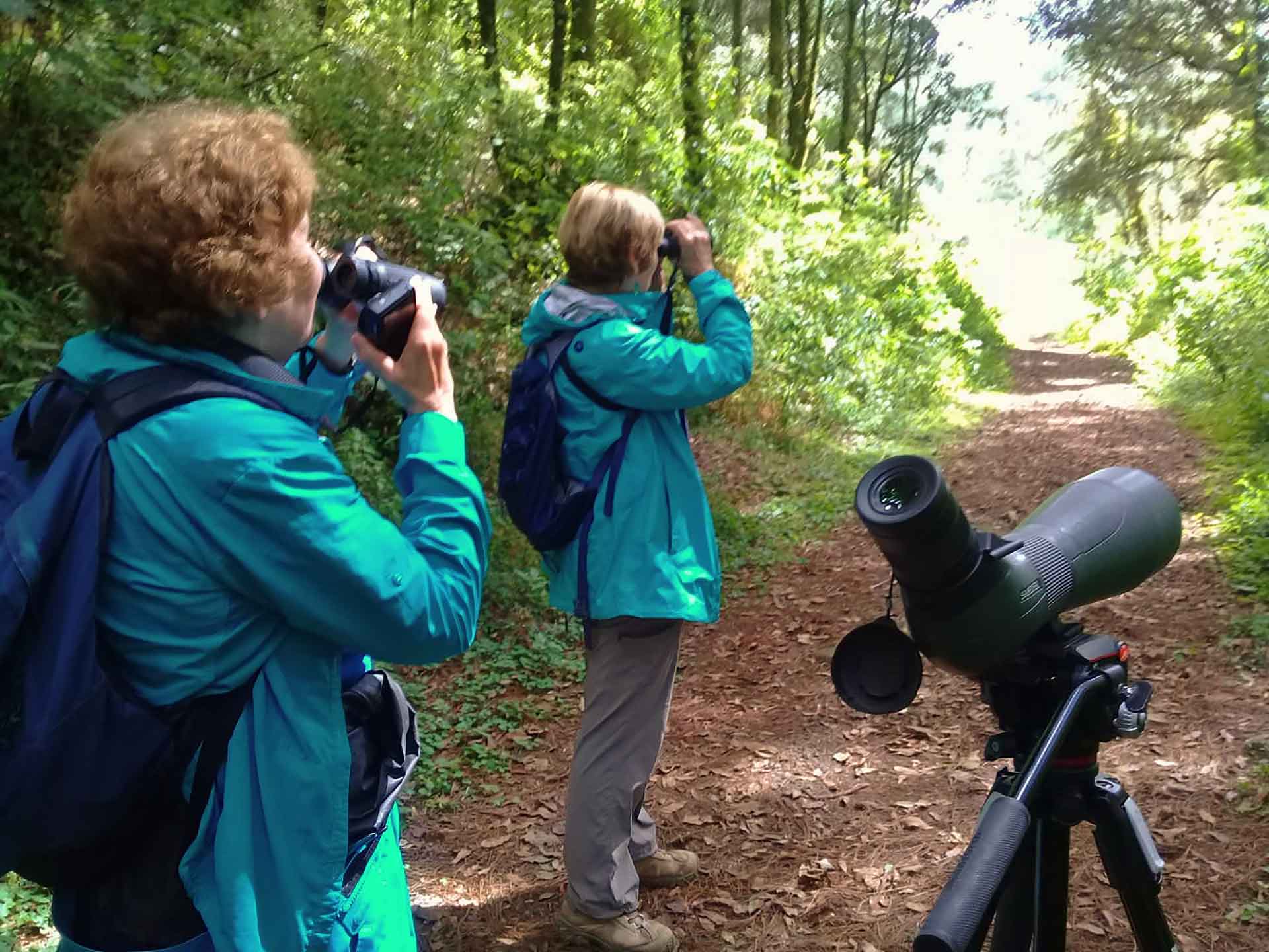 Birding at los tarrales