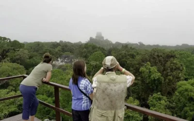 Go Birdwatching in Guatemala